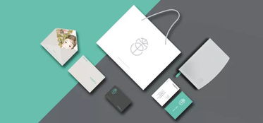 2017德國紅點設計大獎（平面類）獲獎作品完整版 設計洞察與翻譯解讀