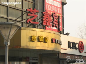 芝鑫精品酒店探店 臻鑫玖的舒適與格調